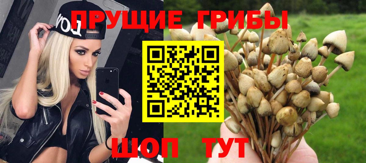 Галлюциногенные грибы GOLDEN TEACHER Карабулак