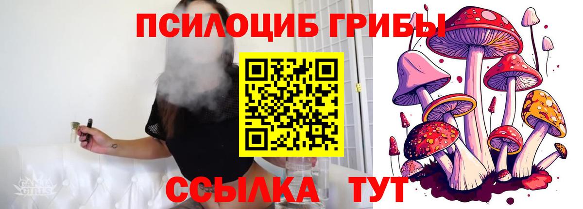 Галлюциногенные грибы GOLDEN TEACHER  Вход с VPN  Галлюциногенные грибы мицелий  Карабулак 